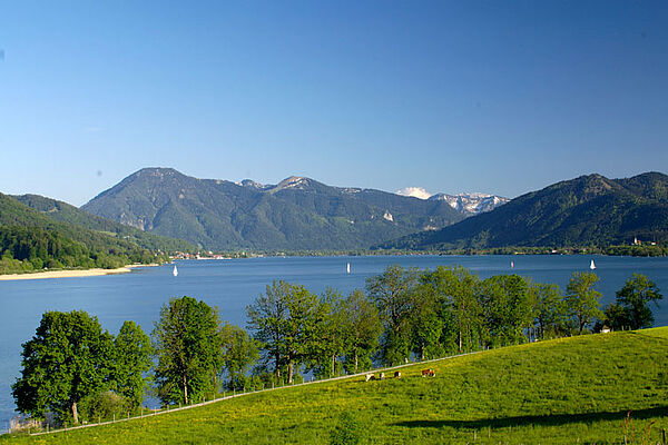 Summer at the lake Tegernsee