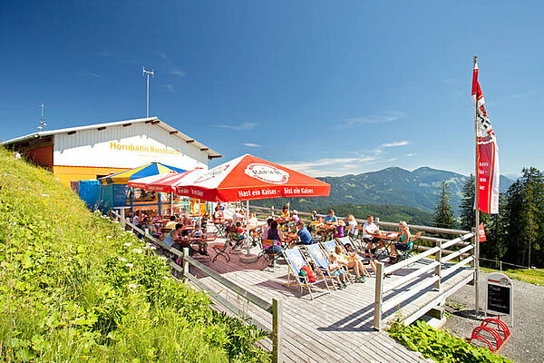 Sommerurlaub in Russbach, Dachstein West