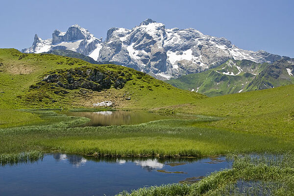 Sommerurlaub in Vorarlberg