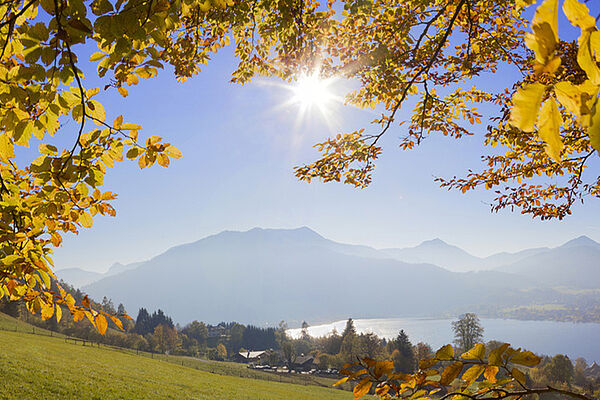 Wanderungen rund um den Tegernsee