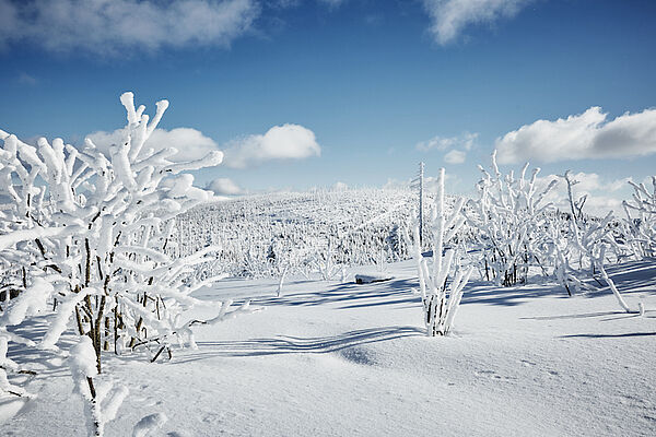 Winter in Neureichenau (c) TVB - Neureichenau