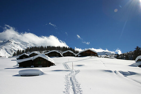 Winterurlaub in Riederalp, Aletsch