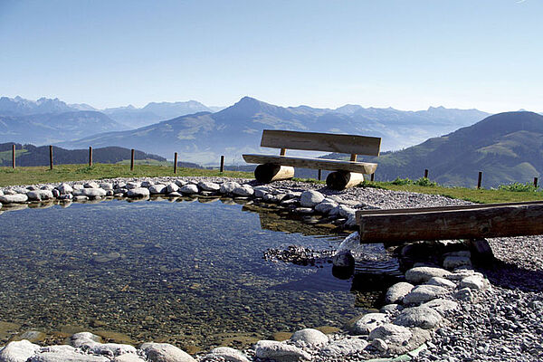 Sommer in Ellmau, Wilder Kaiser