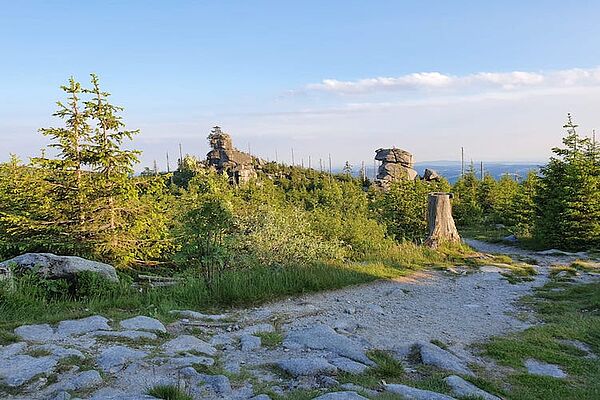 Sommer in Neureichenau (c) TVB - Neureichenau