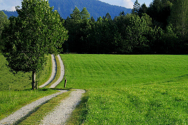 Lenggries im Sommer