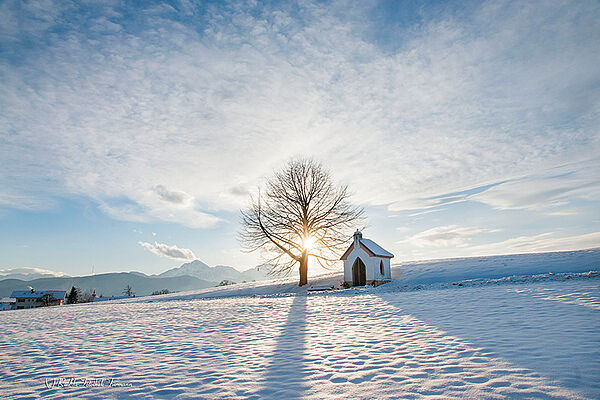 Winter in Anger ©Rosi & Hans Fuermann