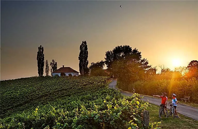Twee fietsers genieten van de zonsondergang midden in het wijnlandschap bij Bad Radkersburg in het zuiden van Stiermarken.