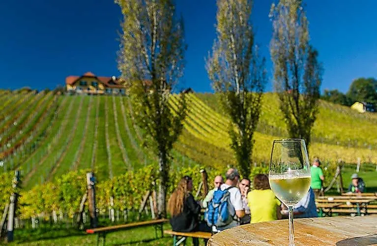 Wine glass in the foreground with a view of a sunny wine landscape and hikers in southern Styria near Bad Radkersburg.