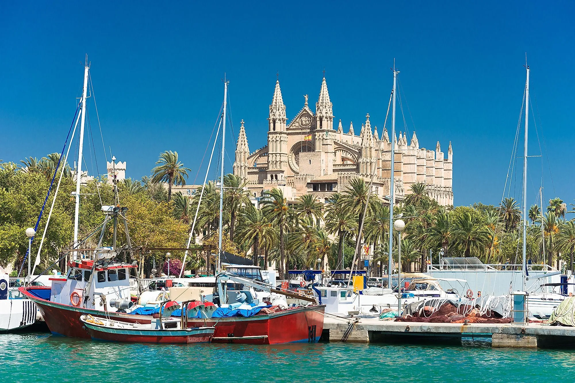 La Cattedrale di La Seu a Palma di Maiorca dietro il porto turistico e le palme