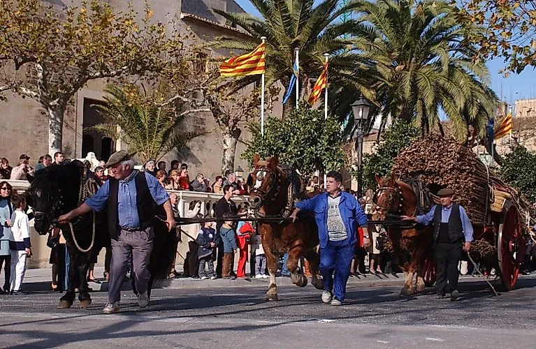 Tradicional desfile con coches de caballos y banderas catalanas en Cambrils con palmeras y numerosos espectadores como telón de fondo