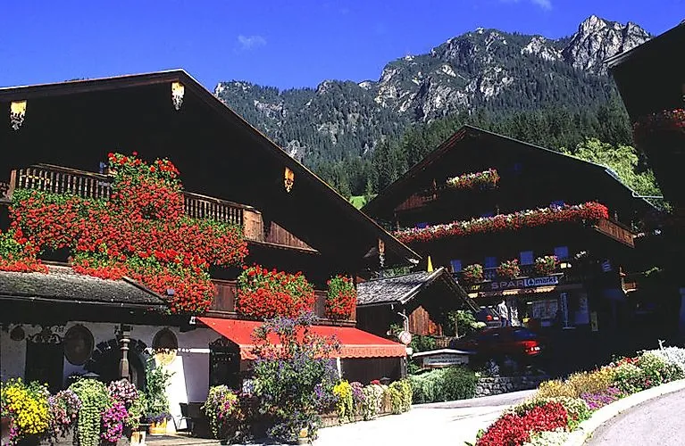 Drevené domy v Alpbachu s kvetmi na pozadí zelených hôr v lete