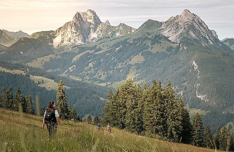 Escursionisti sul sentiero dei fiori vicino a Schönried con vista sull'impressionante panorama montano del Saanenland.