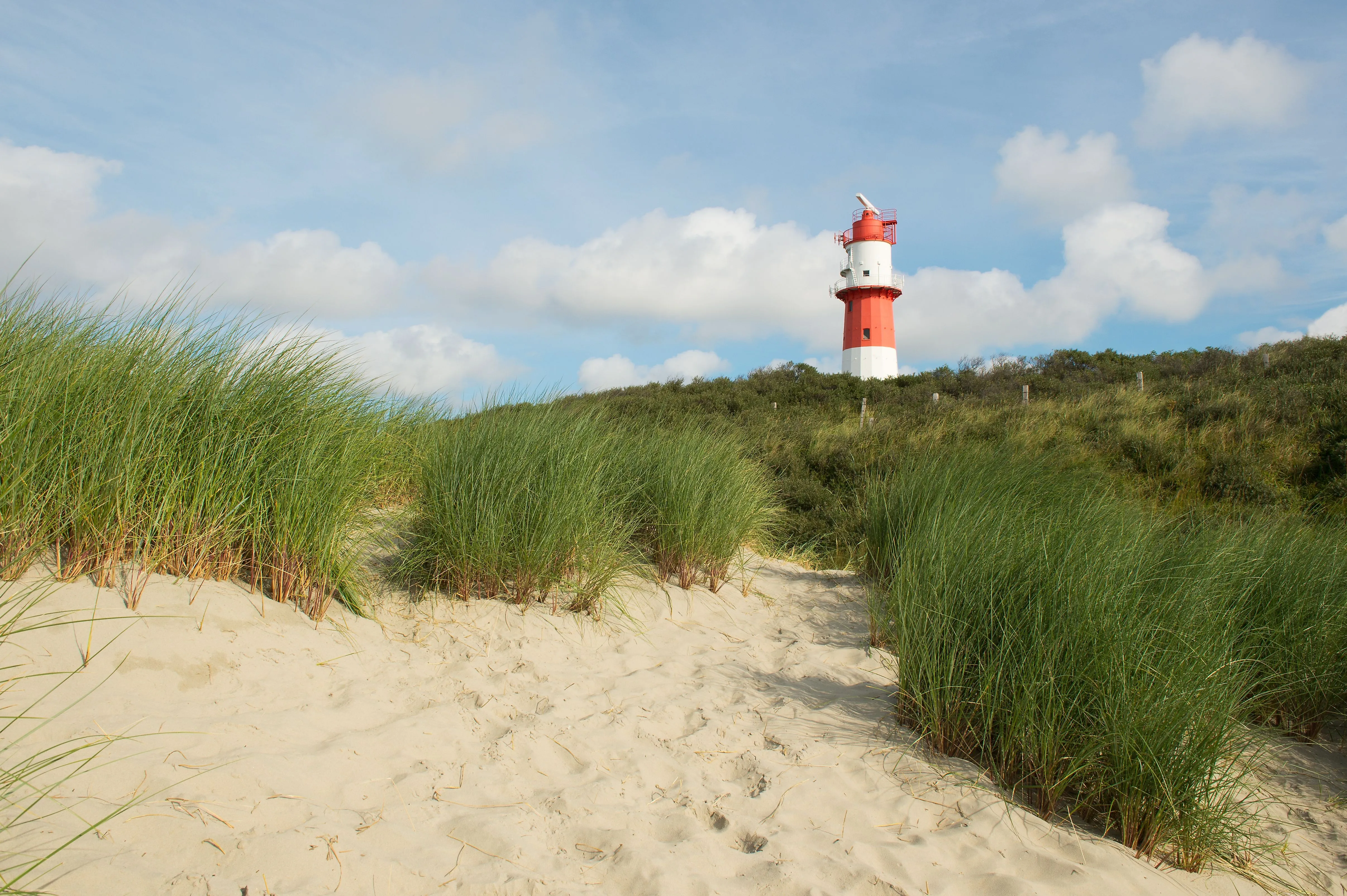 The red lighthouse on Borkum rises out of the dunes with a view of the sandy beach and blue summer clouds.