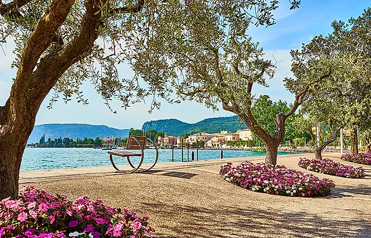 Uferpromenade am Gardasee mit Blumen, Bäumen und Blick auf Ort und Berge unter blauem Himmel