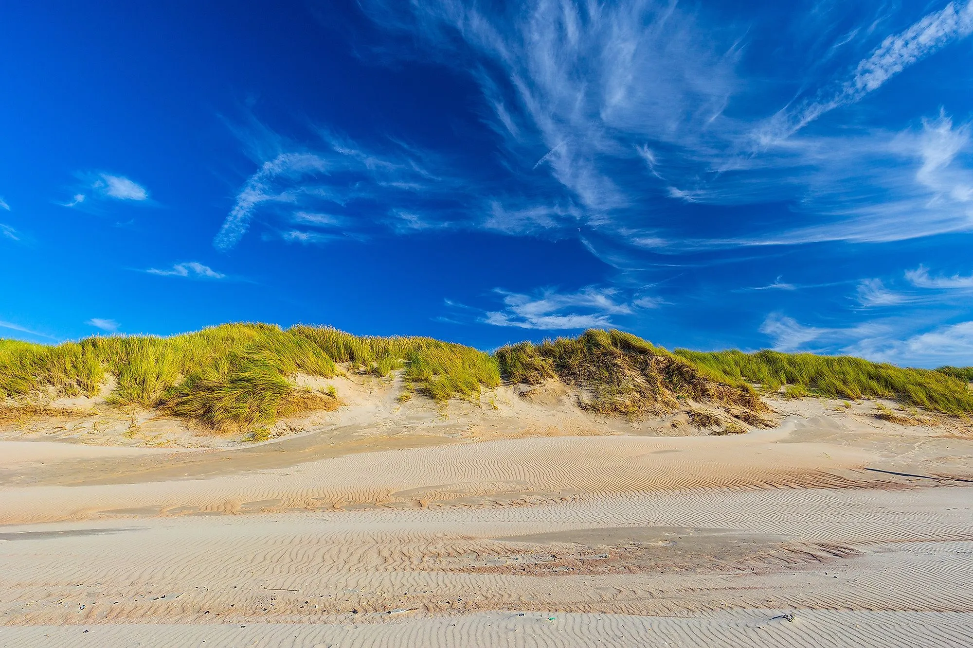 Zandduinen met grasbedekking in De Haan aan de Belgische kust onder een blauwe hemel
