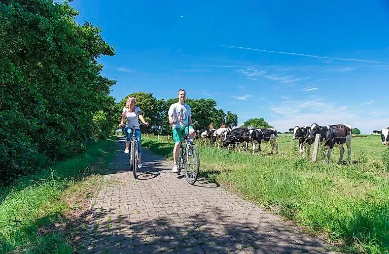 Zwei Radfahrer auf einem idyllischen Weg auf Langeoog mit Kühen auf der Weide