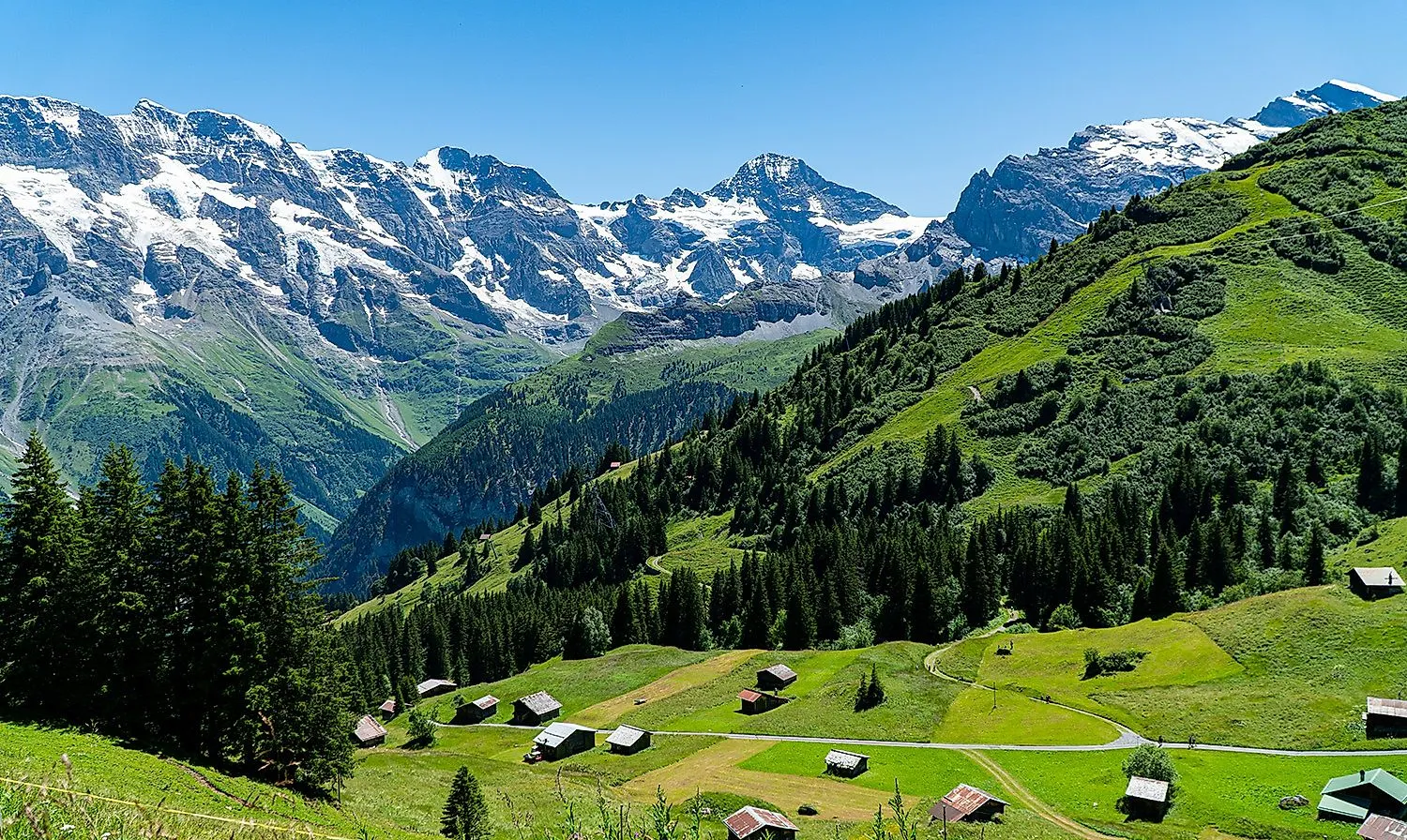 Paesaggio alpino estivo vicino a Mürren con vista sulle Alpi Bernesi
