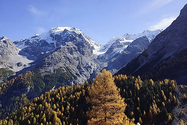 Forêts automnales et sommets enneigés près d'Elm en Suisse - photo panoramique avec mélèzes et vue lointaine