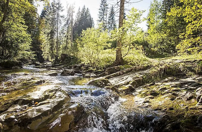 Zonlicht op de Schwarzwasserbach in het bos bij de Walser Omgang in Kleinwalsertal