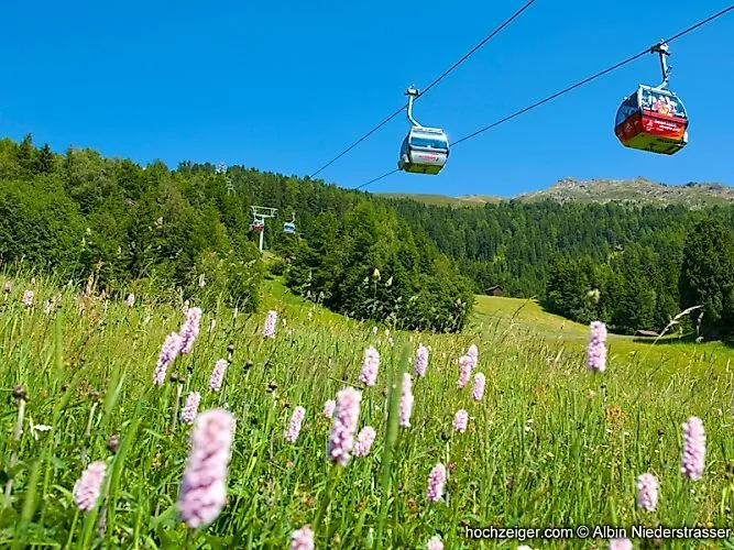 Gondola lift in summer over a blooming alpine meadow on the Hochzeiger in the Pitztal under a bright blue sky.