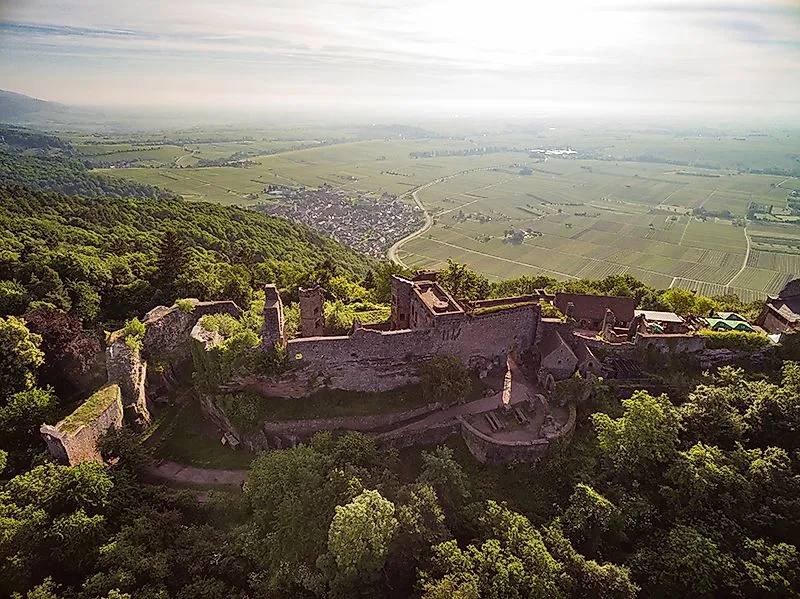 Burgruine auf bewaldetem Hügel mit Blick über Weinberge und Rheinebene im Pfälzerwald.
