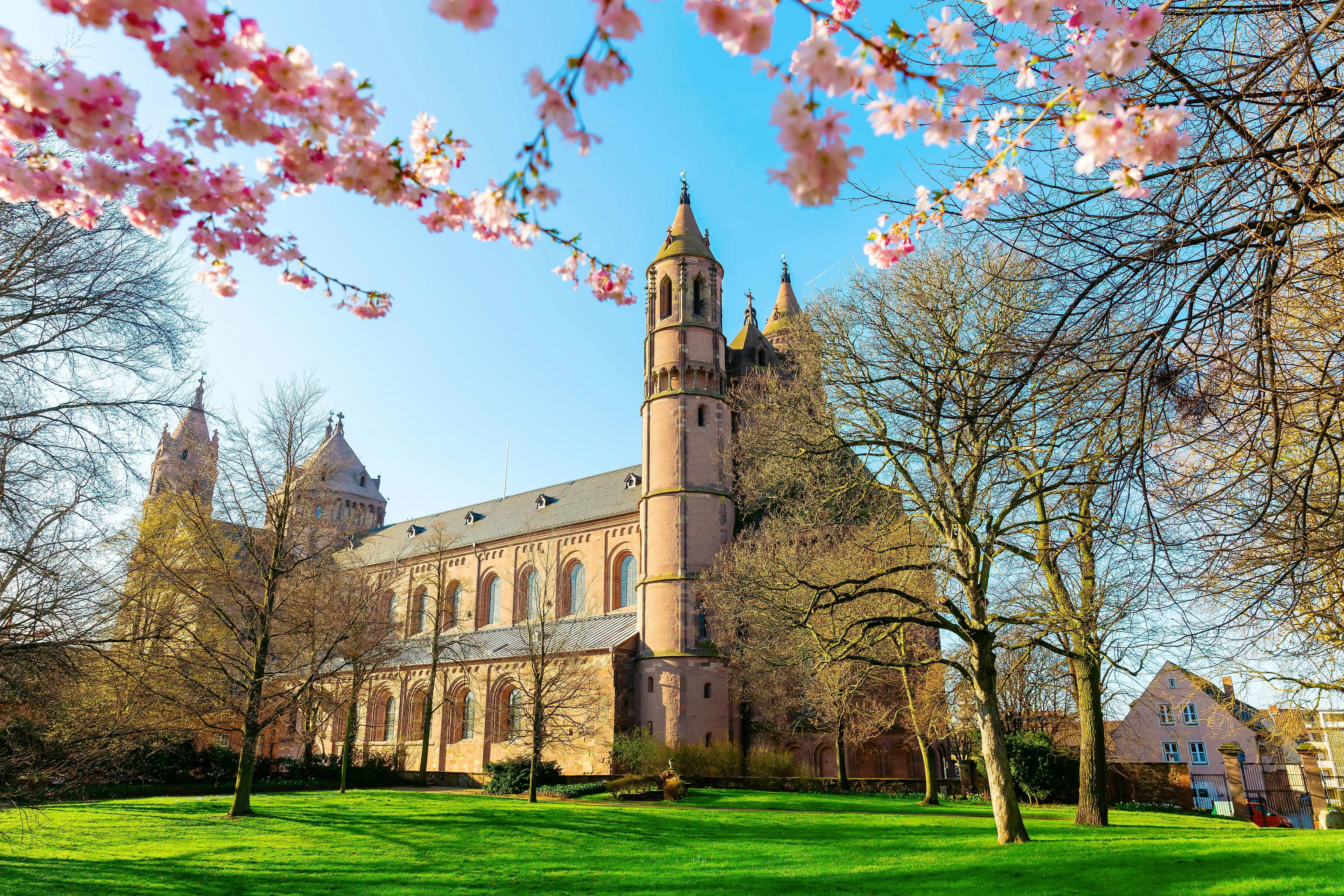 De imposante kathedraal van Worms omringd door bloeiende kersenbomen in de lente.
