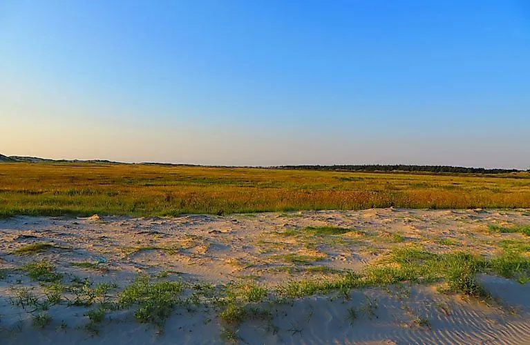 Wide salt marsh landscape near Schillig in the evening light with a blue sky and a view of northern German nature