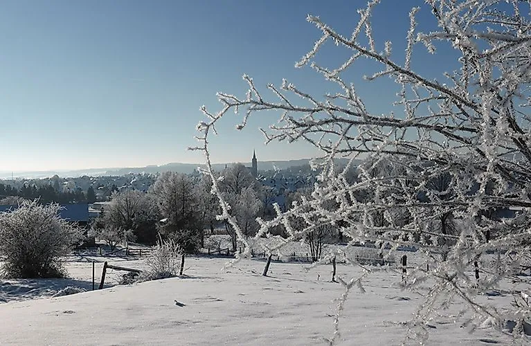 Winter landscape with icy branches in the foreground and a view over snow-covered Medebach with a church tower in the distance.