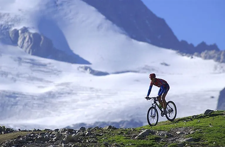 Mountain bikers on an alpine route with a view of the glacier in Fiesch-Aletsch on a sunny summer's day