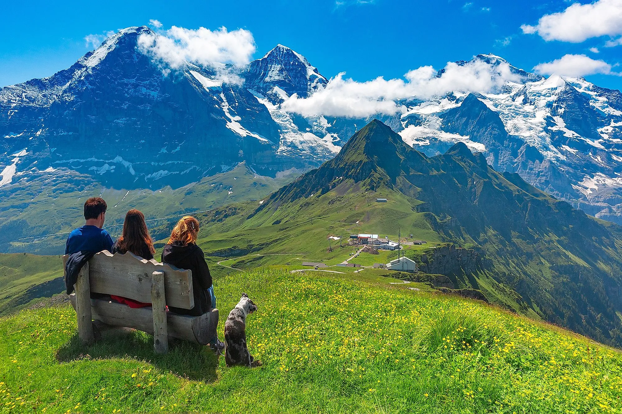 Wandelaars met honden kijken uit over de Eiger, Mönch en Jungfrau in het Berner Oberland