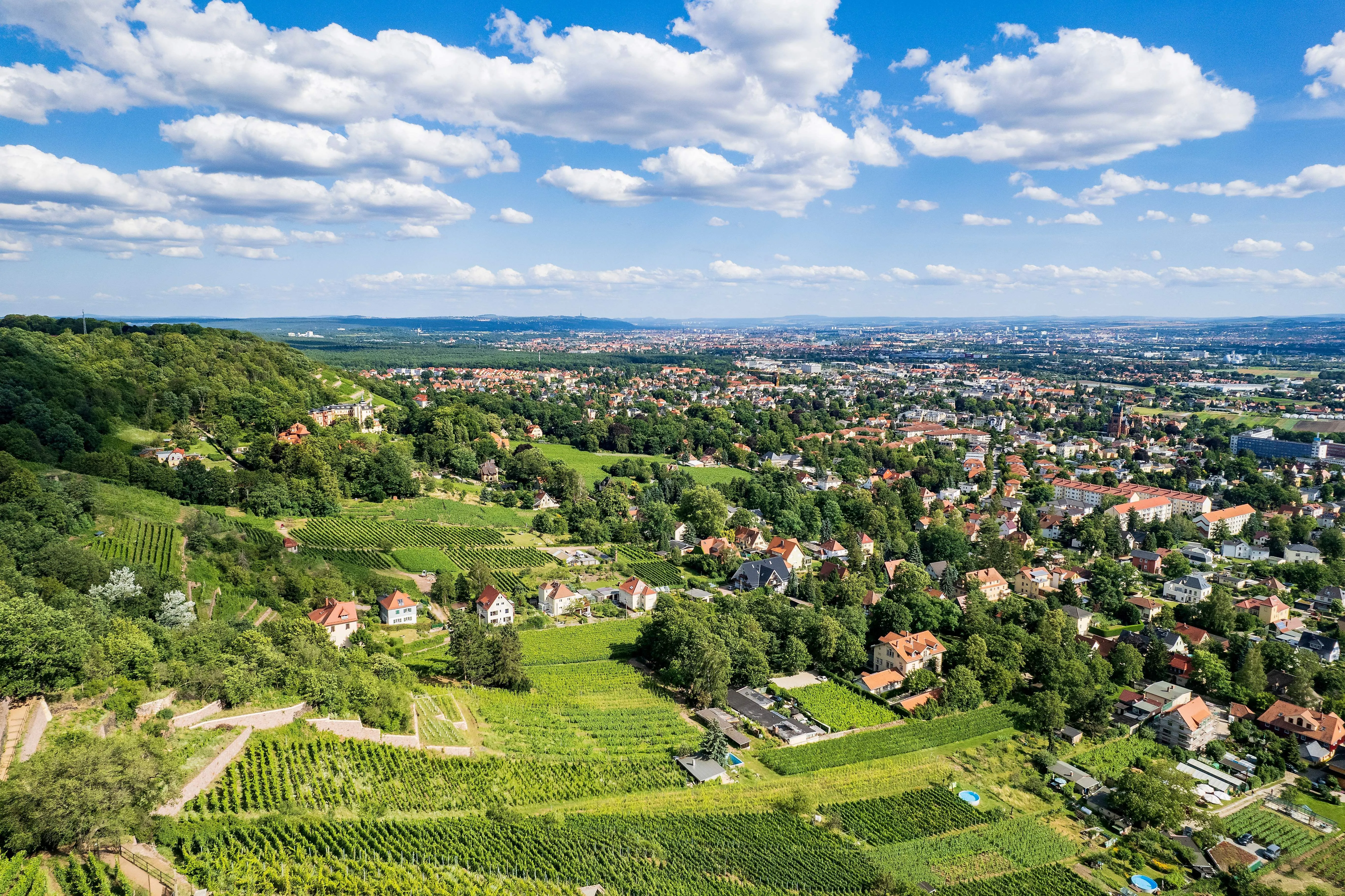 Pohľad na Radebeul s panorámou vinohradov a mesta počas letného dňa