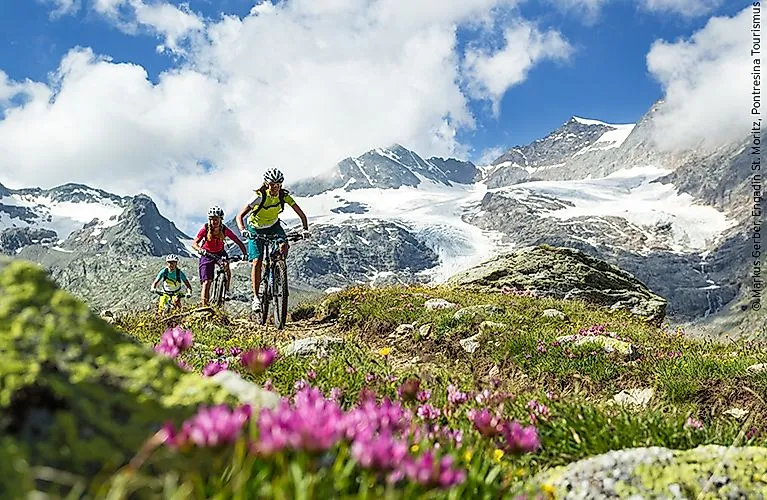 Tres ciclistas de montaña recorren un sendero alpino con vistas a glaciares y prados alpinos en flor.