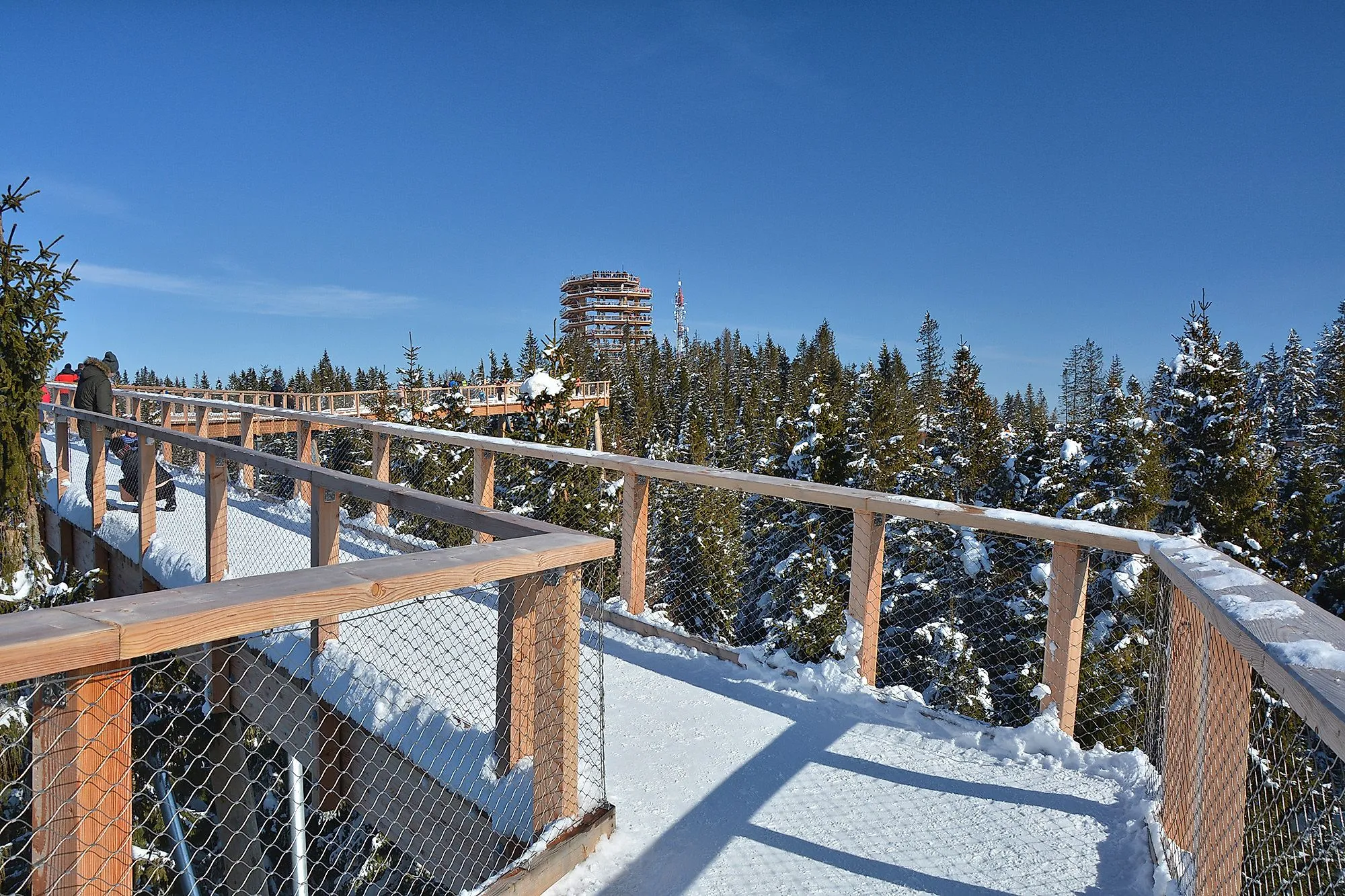 Procházka po zasněžené stezce v korunách stromů Bachledka v zimě