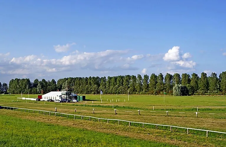 Hippodrome verdoyant à Hooksiel par temps ensoleillé avec vue sur les tribunes et les prairies et arbres environnants