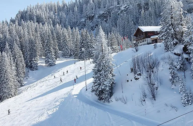 Lyžaři na zasněžených sjezdovkách ve švýcarském zimním ráji Flumserberg