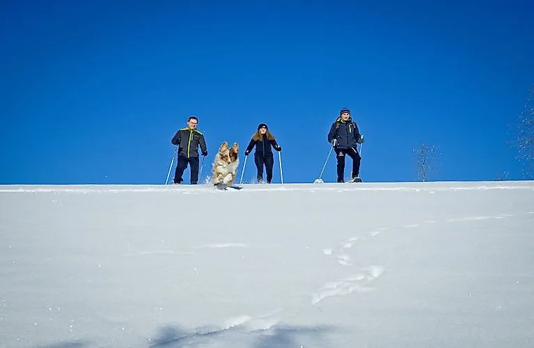 Escursione invernale con le racchette da neve vicino a Neuschönau, nella Foresta Bavarese, sotto un cielo blu brillante