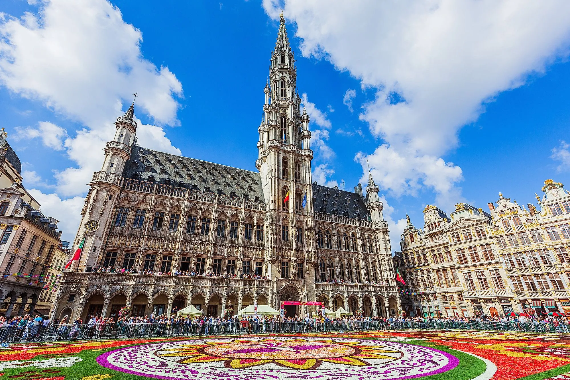 Historická bruselská radnice s květinami vyzdobeným náměstím Grand Place na slunci