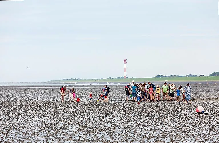 Group of people walking on the mudflats in front of coastal landscape with lighthouse