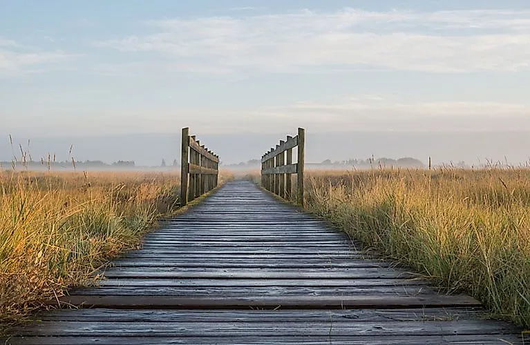 Long wooden walkway leads through grassy dunes near Schillig