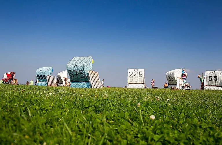 Colorful beach chairs on the green beach of Horumersiel on the North Sea coast on a sunny day