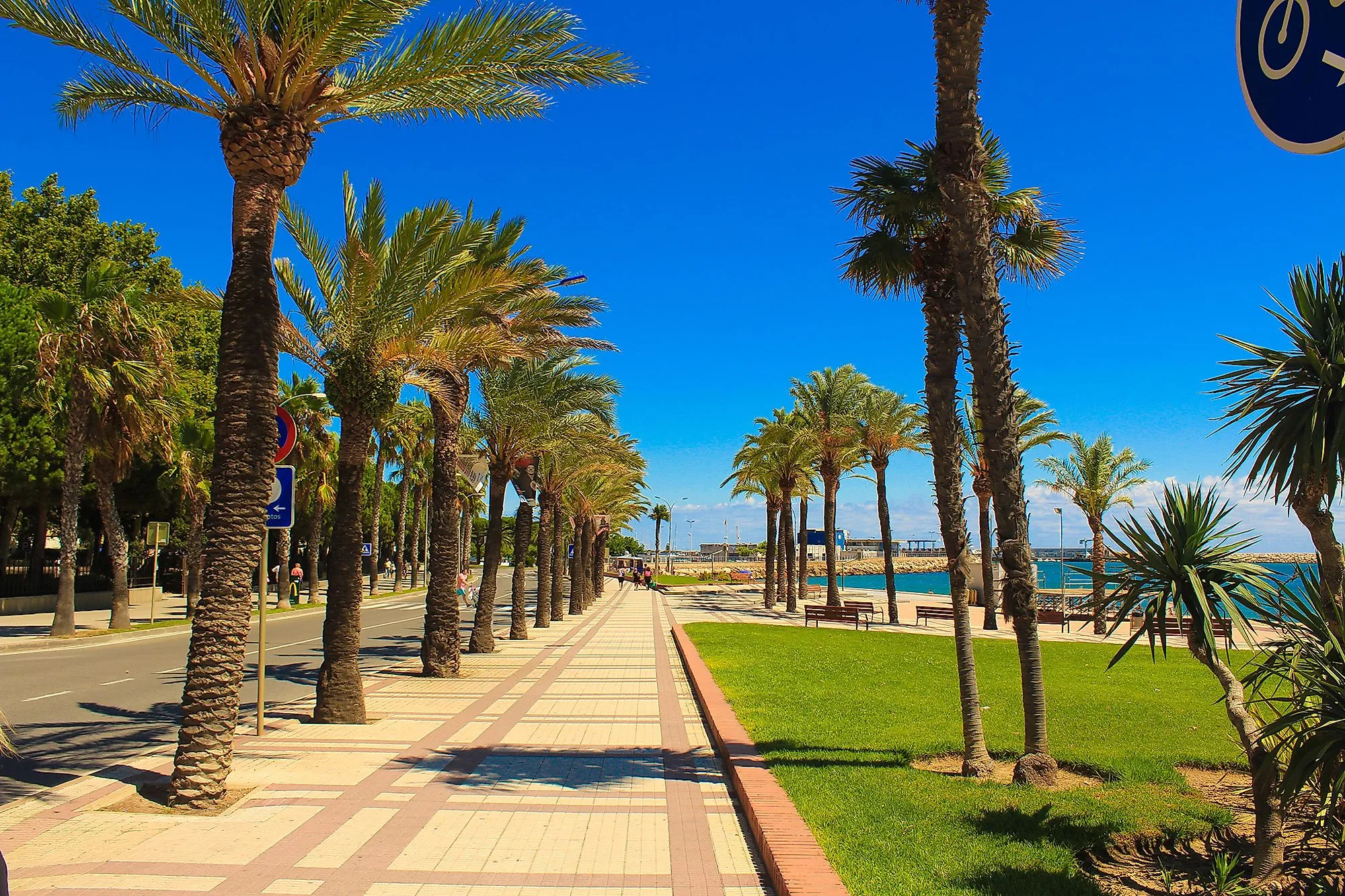 Promenade bordée de palmiers au bord de la mer à Cambrils sur la Costa Daurada