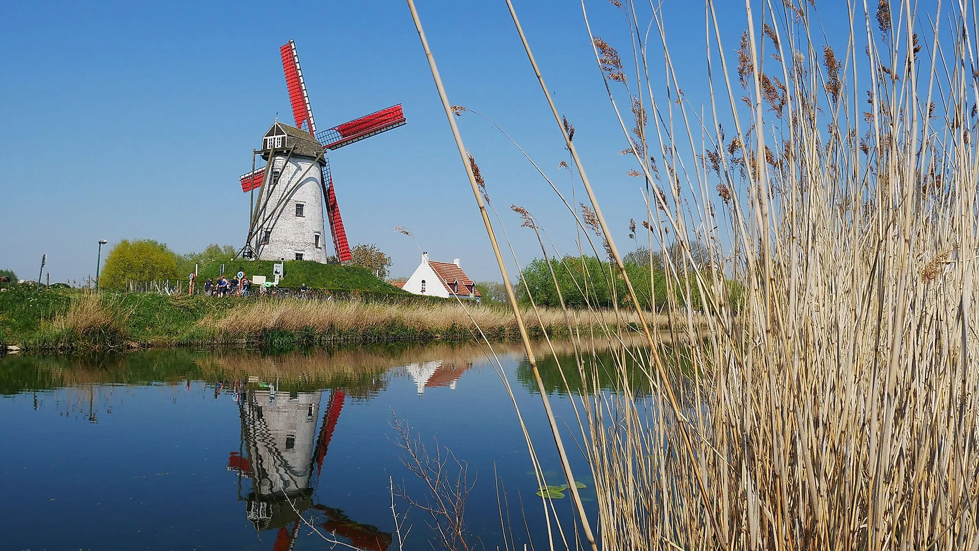 Historische windmolen met rode wieken in België, weerspiegeld in het kalme water
