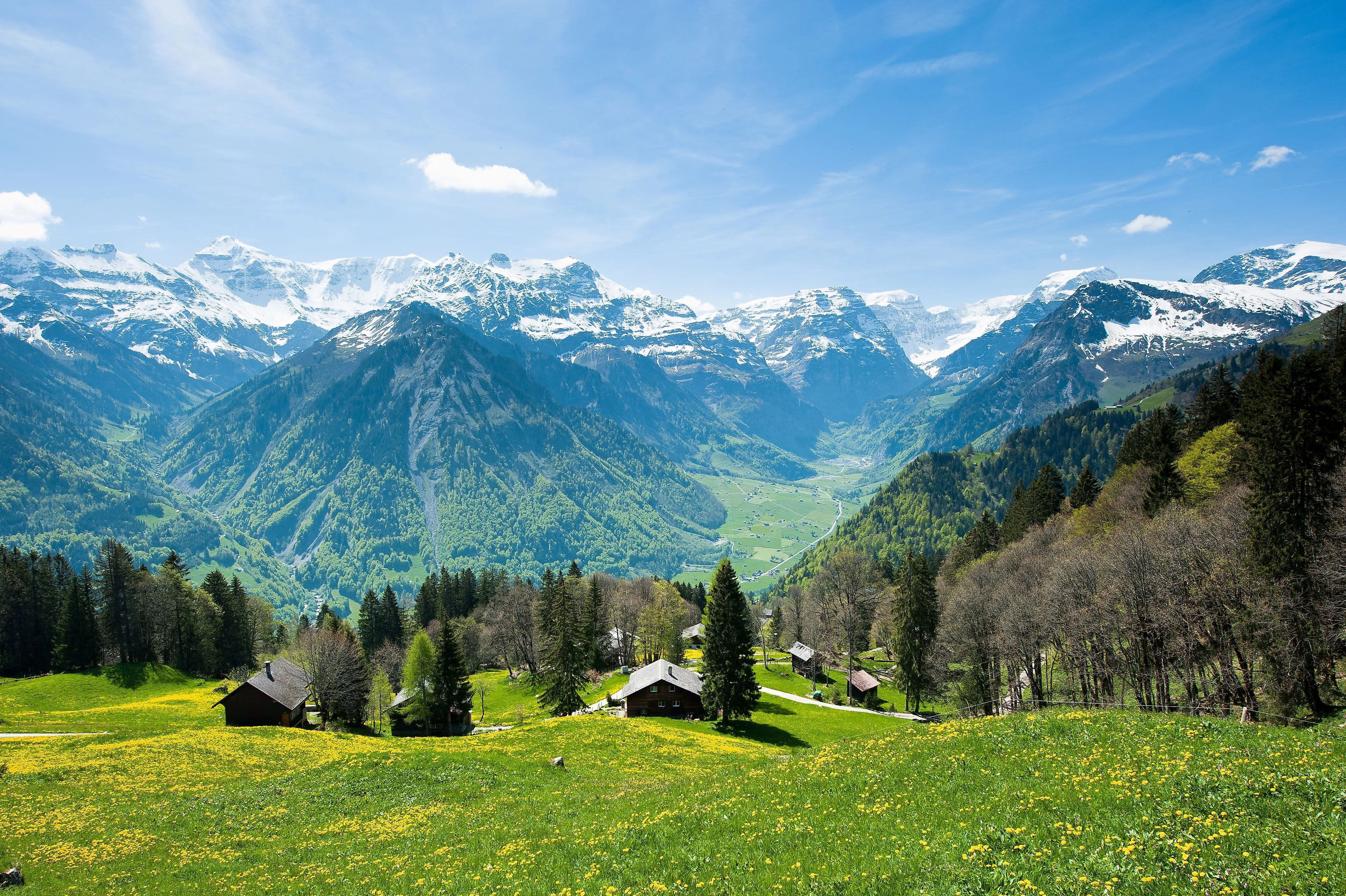 Rozkvetlé louky s tradičními dřevěnými domky před zasněženými vrcholky Alp v Braunwaldu v kantonu Glarus.