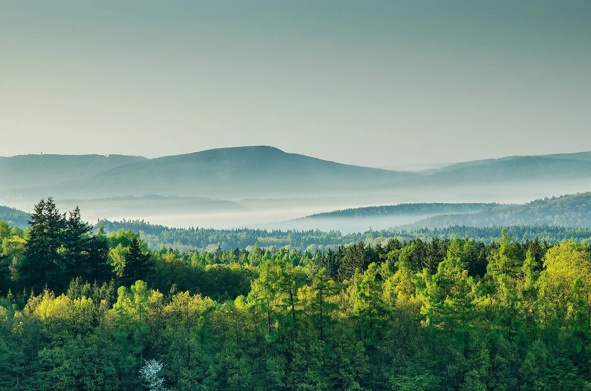 Panorama im Erzgebirge mit bewaldeten Hügeln und Morgennebel bei Plešivec.