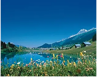 Paysage d'été avec des prairies en fleurs, vue sur Brigels et les Alpes suisses en arrière-plan.