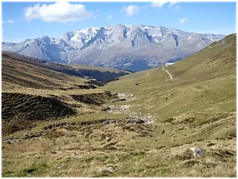 Weitläufige Almwiesen und ein Wanderweg vor imposanter Bergkulisse im Wandergebiet Surcuolm – Piz Mundaun.
