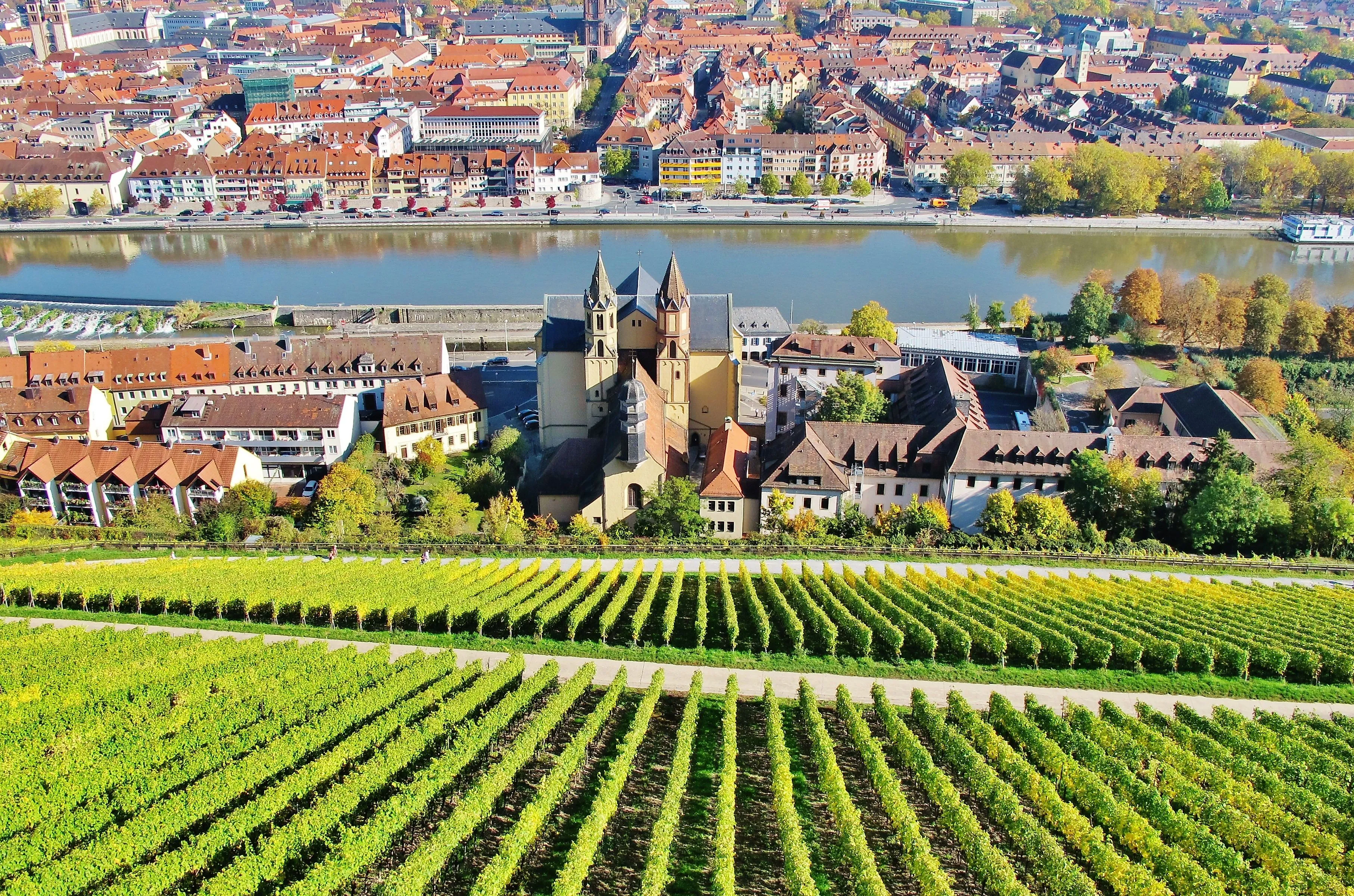 Pohled na staré město Würzburgu a kostel svatého Burkarda s okolními vinicemi na Mohanu.