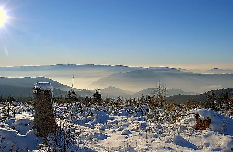 Winterlandschaft am Langmartskopf mit Blick auf die schneebedeckte Hornisgrinde im Schwarzwald.