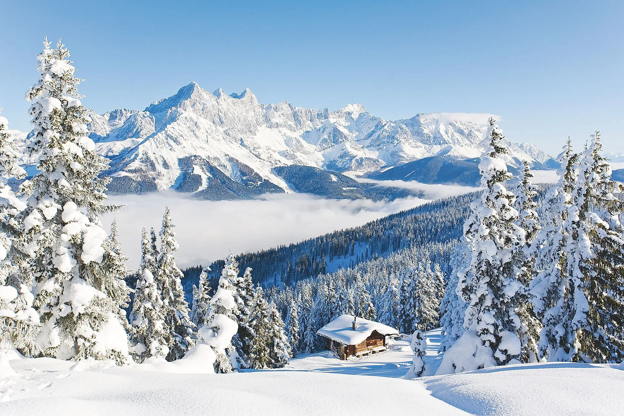 Paesaggio invernale innevato con alberi e baita innevati, sullo sfondo l'imponente massiccio del Dachstein sopra un mare di nebbia.