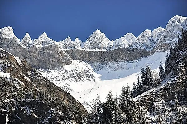 Pics enneigés des Tschingelhörner près d'Elm en Suisse sous un ciel bleu avec des conifères au premier plan